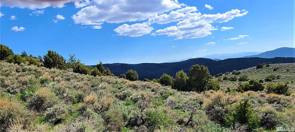 0 Left Hand Canyon Reno NV 89510