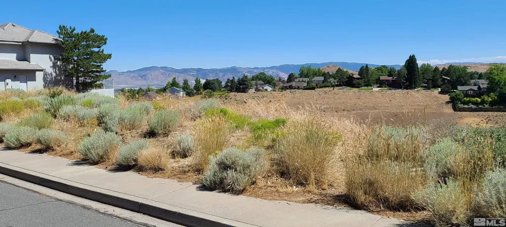 3805 Cashill Reno NV 89509