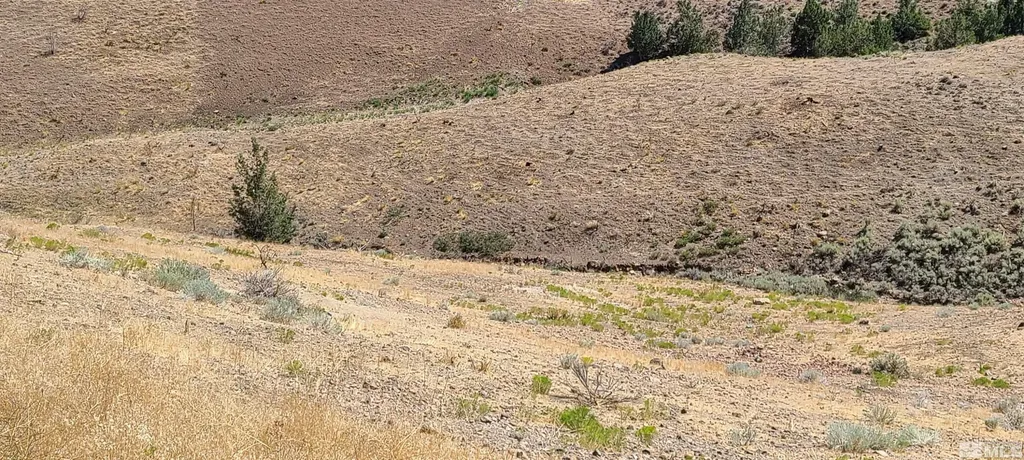 3805 Cashill Reno NV 89509