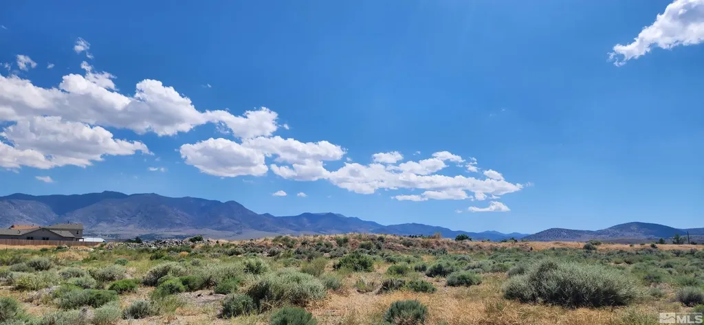 02968239 Dayton Valley Dayton NV 89403