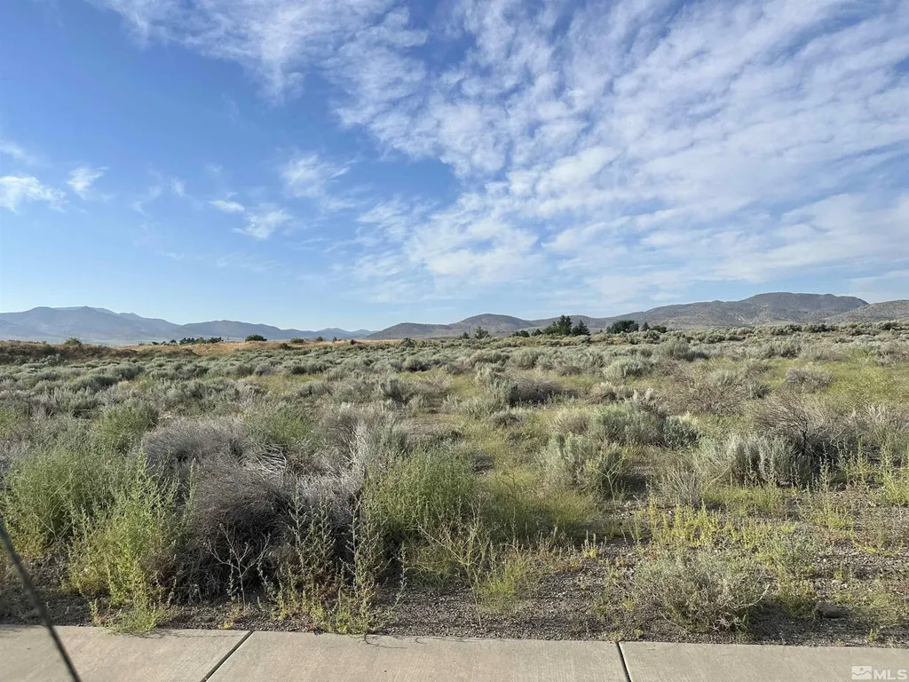 02968239 Dayton Valley Dayton NV 89403