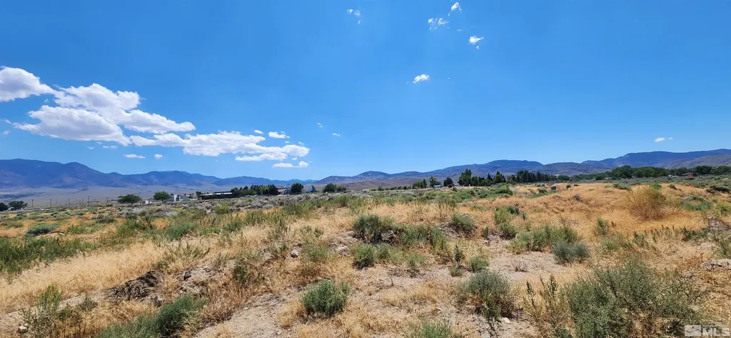 02968239 Dayton Valley Dayton NV 89403