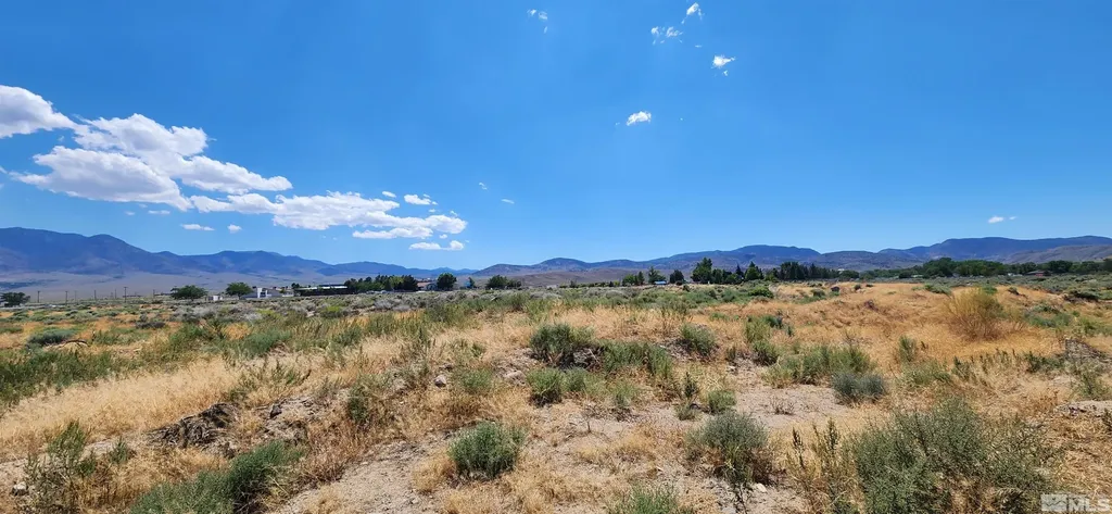 02968239 Dayton Valley Dayton NV 89403