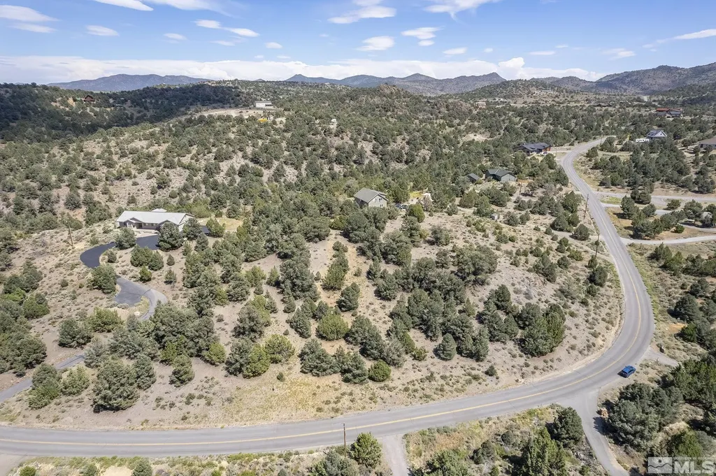 1853 Lousetown Reno NV 89521