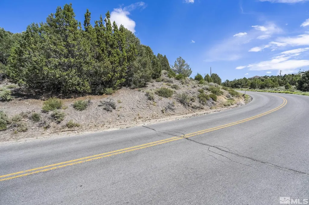 1853 Lousetown Reno NV 89521