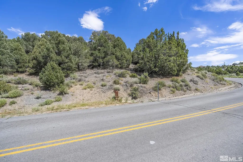 1853 Lousetown Reno NV 89521