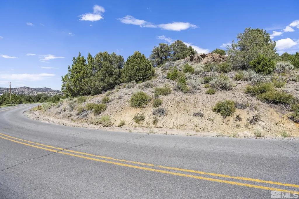 1853 Lousetown Reno NV 89521