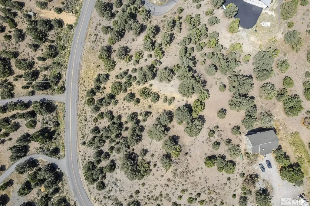 1853 Lousetown Reno NV 89521