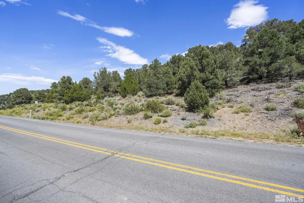 1853 Lousetown Reno NV 89521