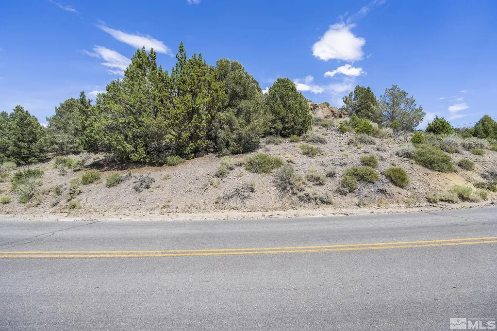 1853 Lousetown Reno NV 89521