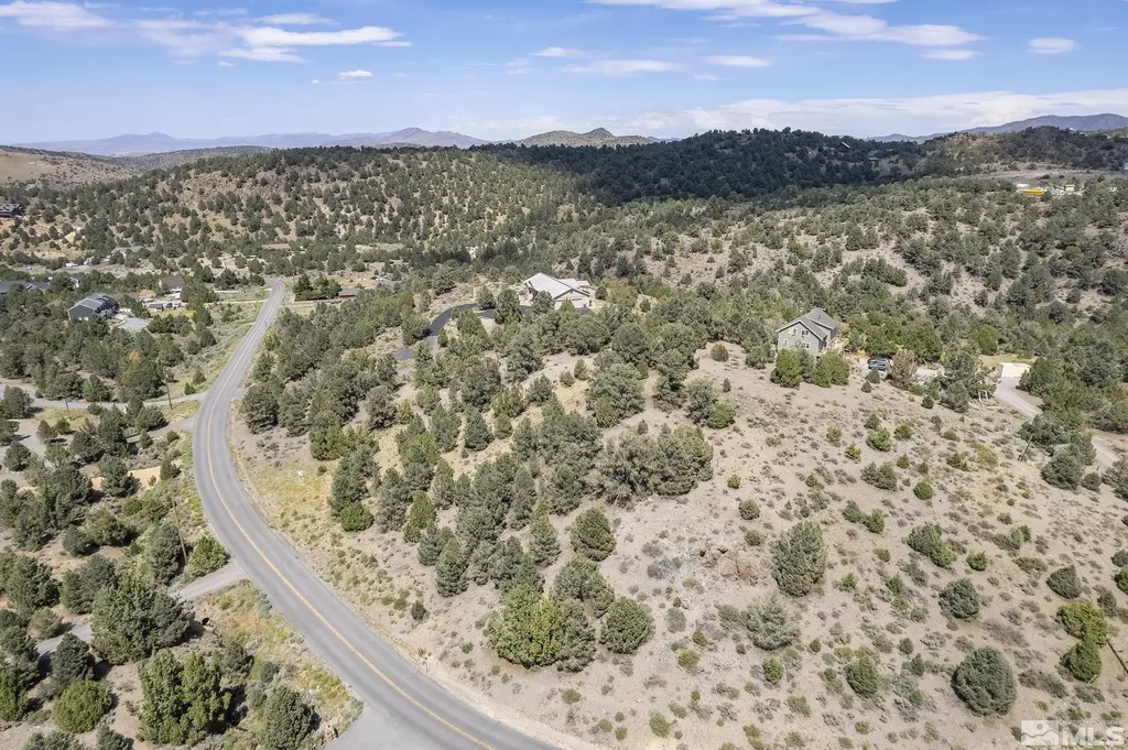 1853 Lousetown Reno NV 89521