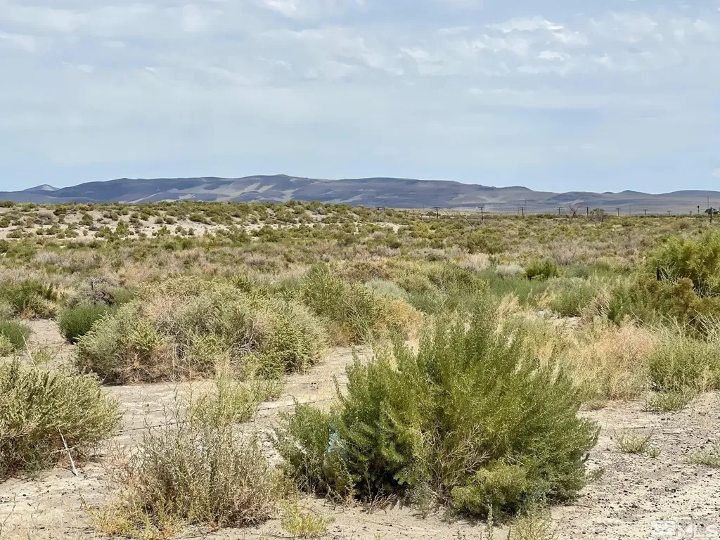 000 Highway 50 A Fernley NV 89408