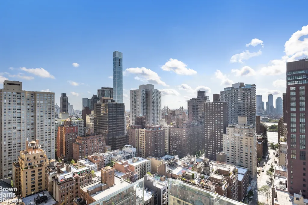 310 E 53rd Street New York City NY 10022