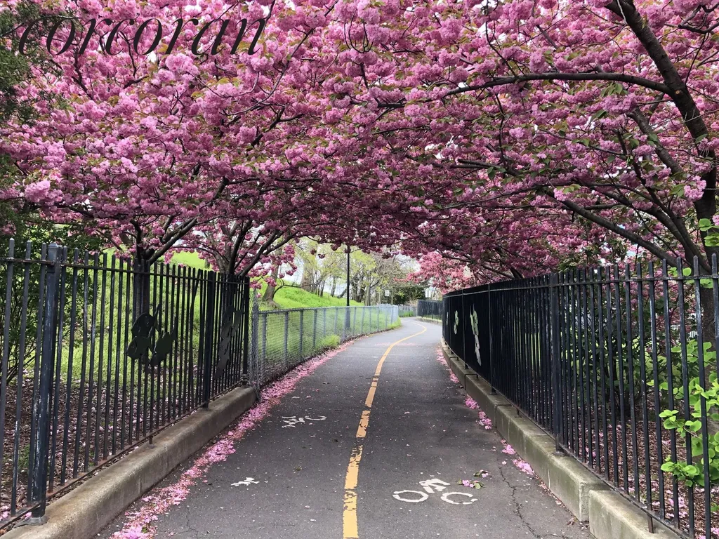 181 73rd Street New York City NY 11209