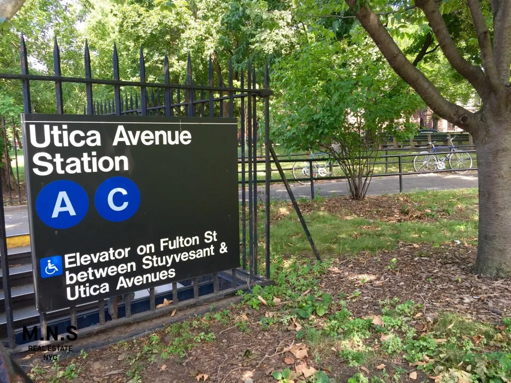 451 Hancock Street New York City NY 11233