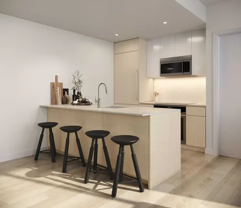 251 Douglass Street New York City NY 11217