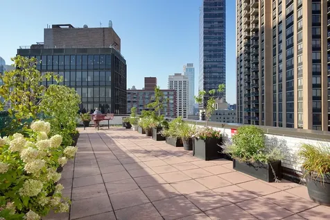155 W 68th Street New York City NY 10023