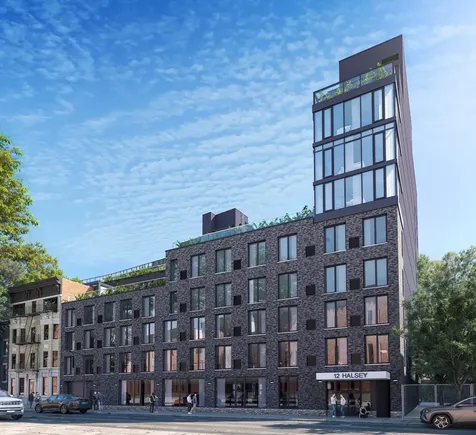 12 Halsey Street New York City NY 11216