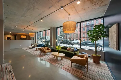 12 Halsey Street New York City NY 11216