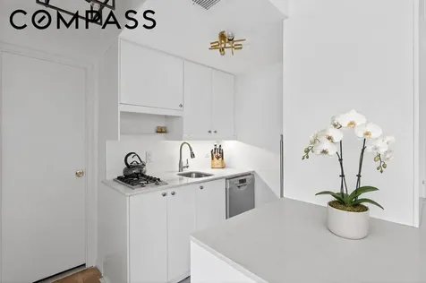 233 E 69th Street New York City NY 10021