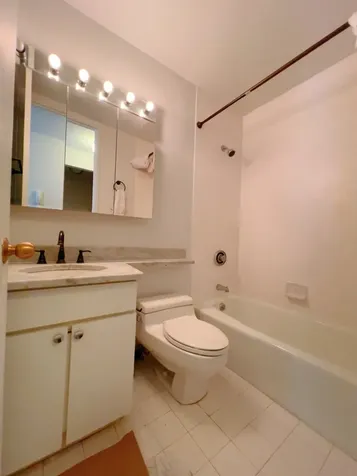 393 W 49th Street New York City NY 10019