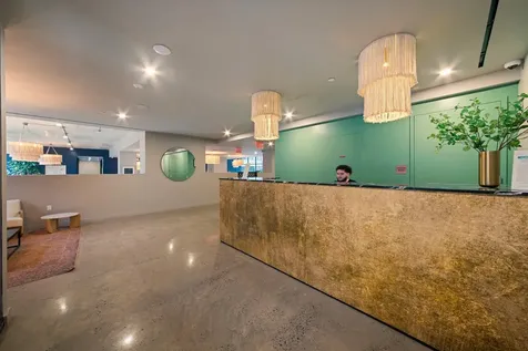 12 Halsey Street New York City NY 11216