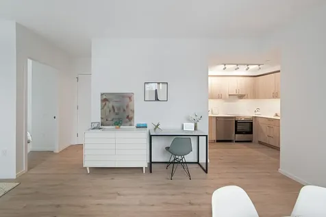 12 Halsey Street New York City NY 11216