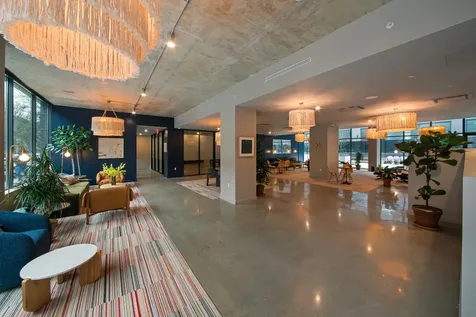 12 Halsey Street New York City NY 11216