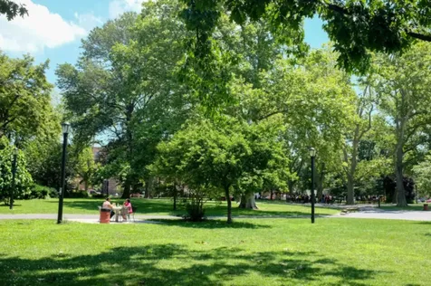 5 Delavan Street New York City NY 11231