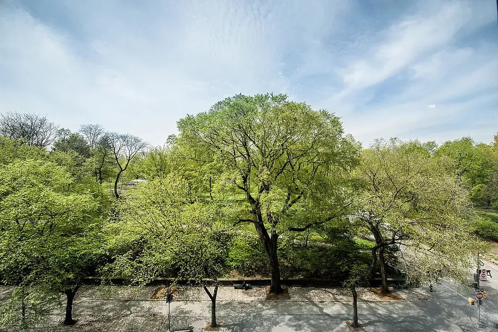1212 5th Avenue New York City NY 10029