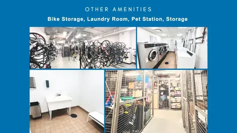 550 Vanderbilt Avenue New York City NY 11238