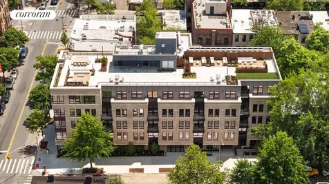 194 Bainbridge Street New York City NY 11233