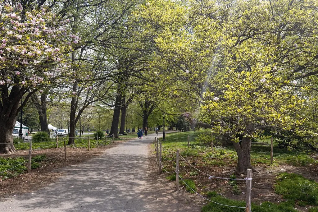 147 Prospect Park SW New York City NY 11218