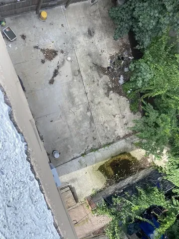 321 Milford Street New York City NY 11208