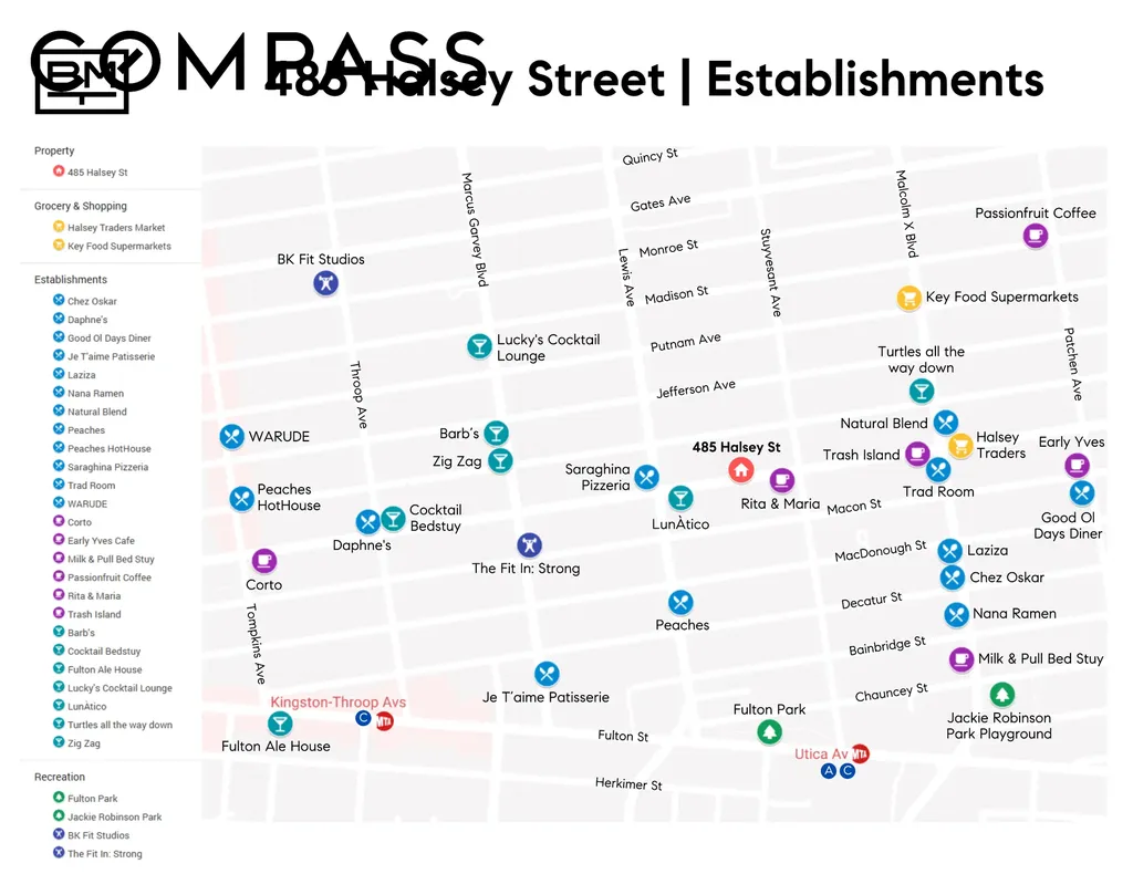 485 Halsey Street New York City NY 11233