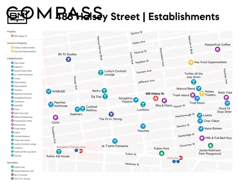 485 Halsey Street New York City NY 11233