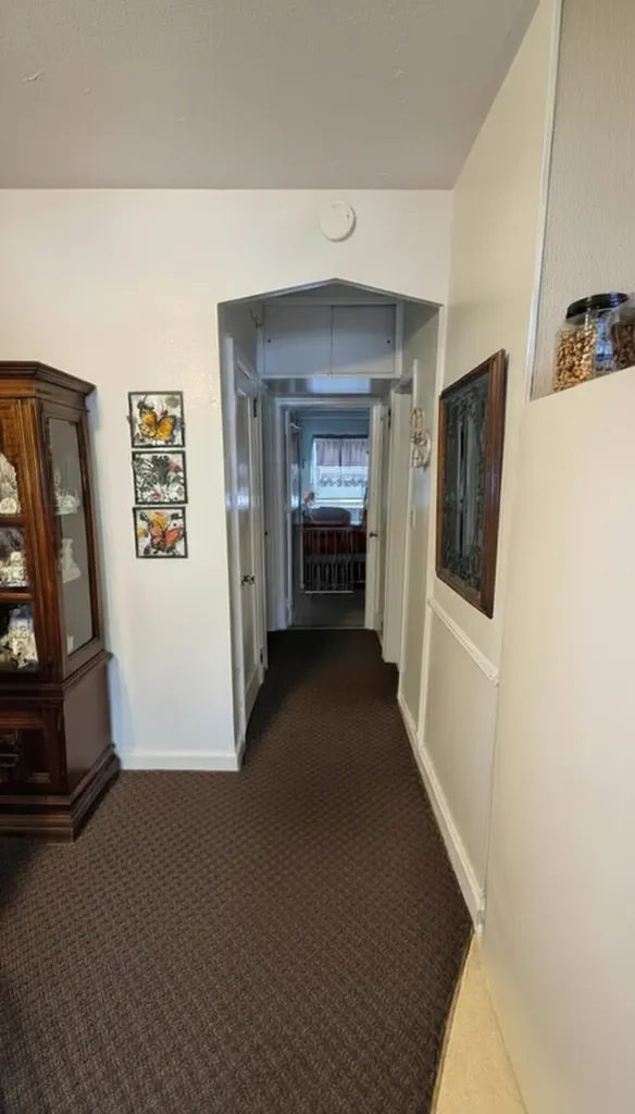 1718 Williamsbridge Road New York City NY 10461