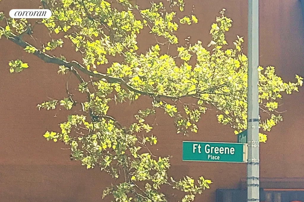 62 Fort Greene Place New York City NY 11217