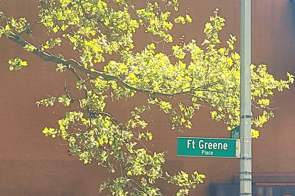 62 Fort Greene Place New York City NY 11217