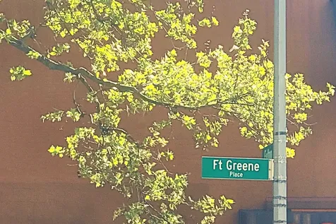 62 Fort Greene Place New York City NY 11217
