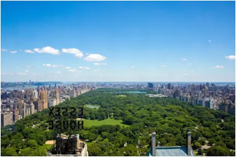 157 W 57th Street New York City NY 10019