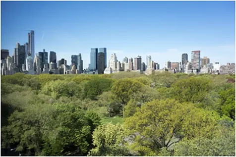 912 5th Avenue New York City NY 10021