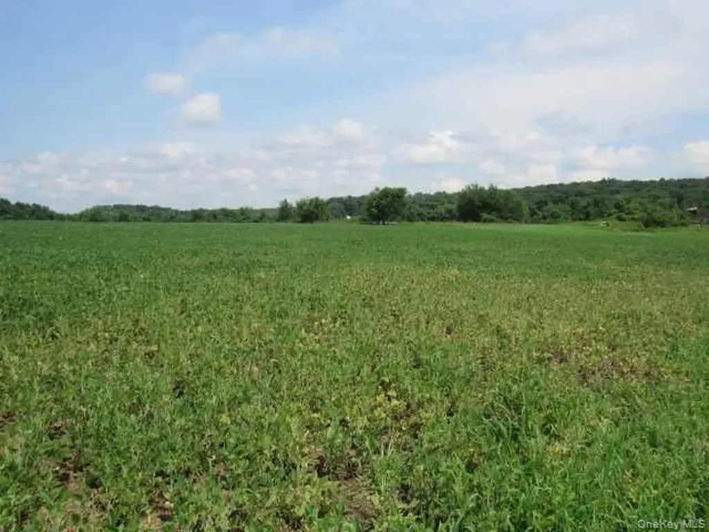 County Road 19 Germantown NY 12523