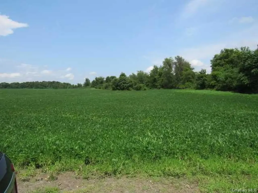 County Road 19 Germantown NY 12523