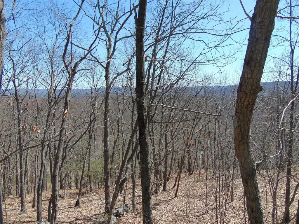 382 Cedar Hill Road Fishkill NY 12524