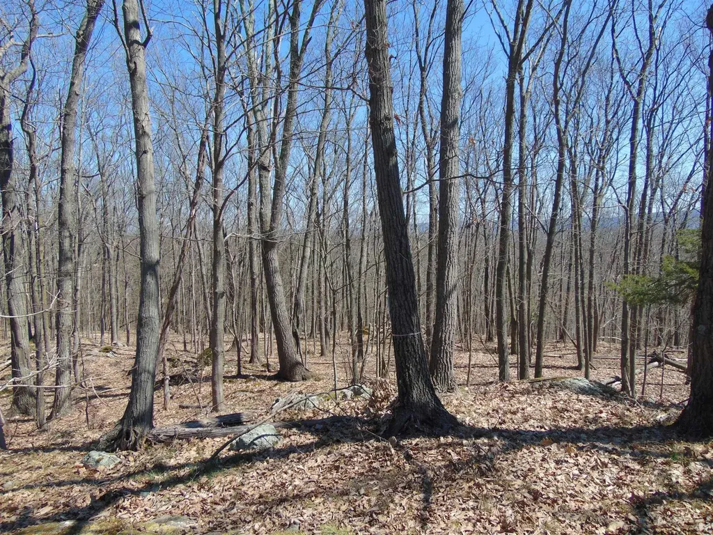 382 Cedar Hill Road Fishkill NY 12524