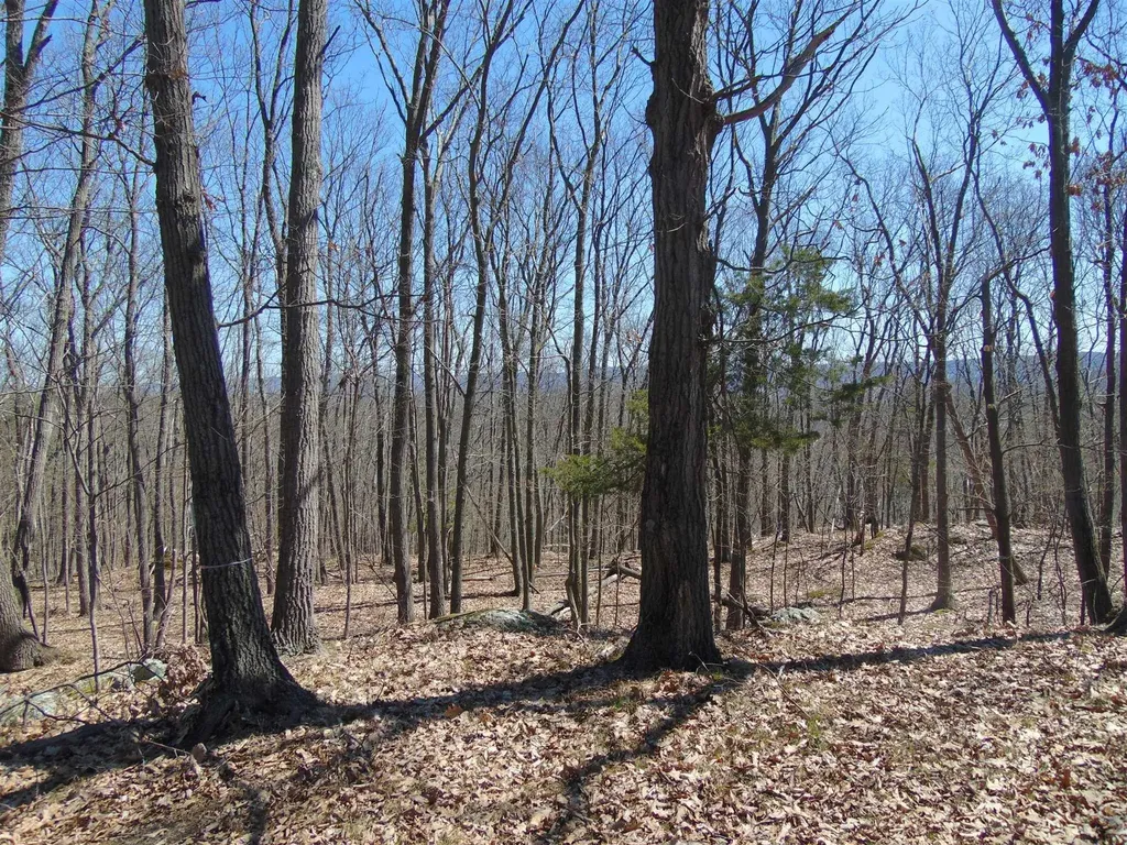 382 Cedar Hill Road Fishkill NY 12524