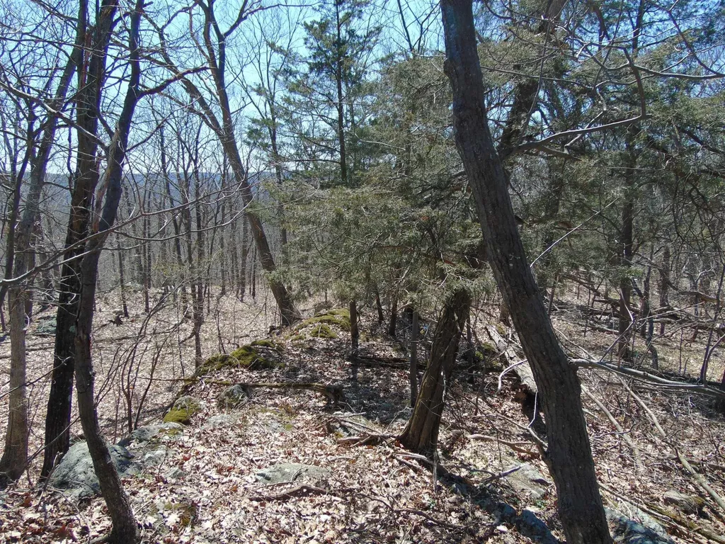 382 Cedar Hill Road Fishkill NY 12524