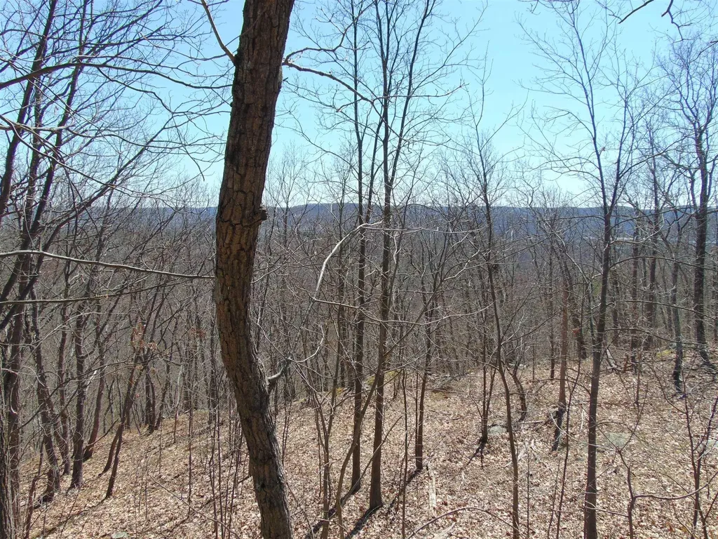 382 Cedar Hill Road Fishkill NY 12524