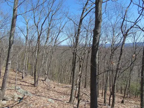 382 Cedar Hill Road Fishkill NY 12524